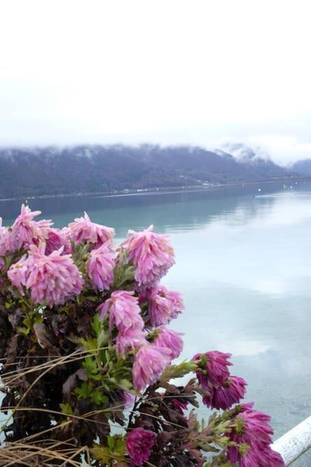 Coconlagon Serenite Au Lac D'Annecy Doussard Bagian luar foto