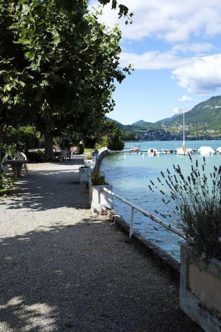 Coconlagon Serenite Au Lac D'Annecy Doussard Bagian luar foto